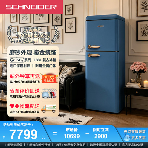 复古双门冰箱小型家用冷藏