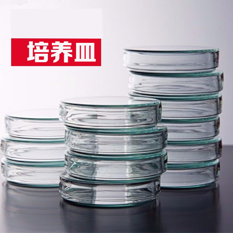 培养皿玻璃平皿实验室耐高温60 75 90 100 mm高硼硅透明玻璃培养皿消毒筒不锈钢培养皿加厚玻璃器皿