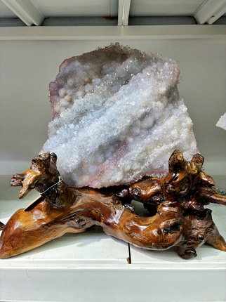 粉边边龙骨异象