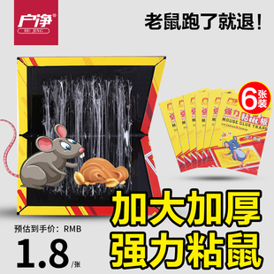 强力粘鼠板抓大老鼠贴胶扑捉灭捕鼠室内加厚大号正品 家用捉耗子板