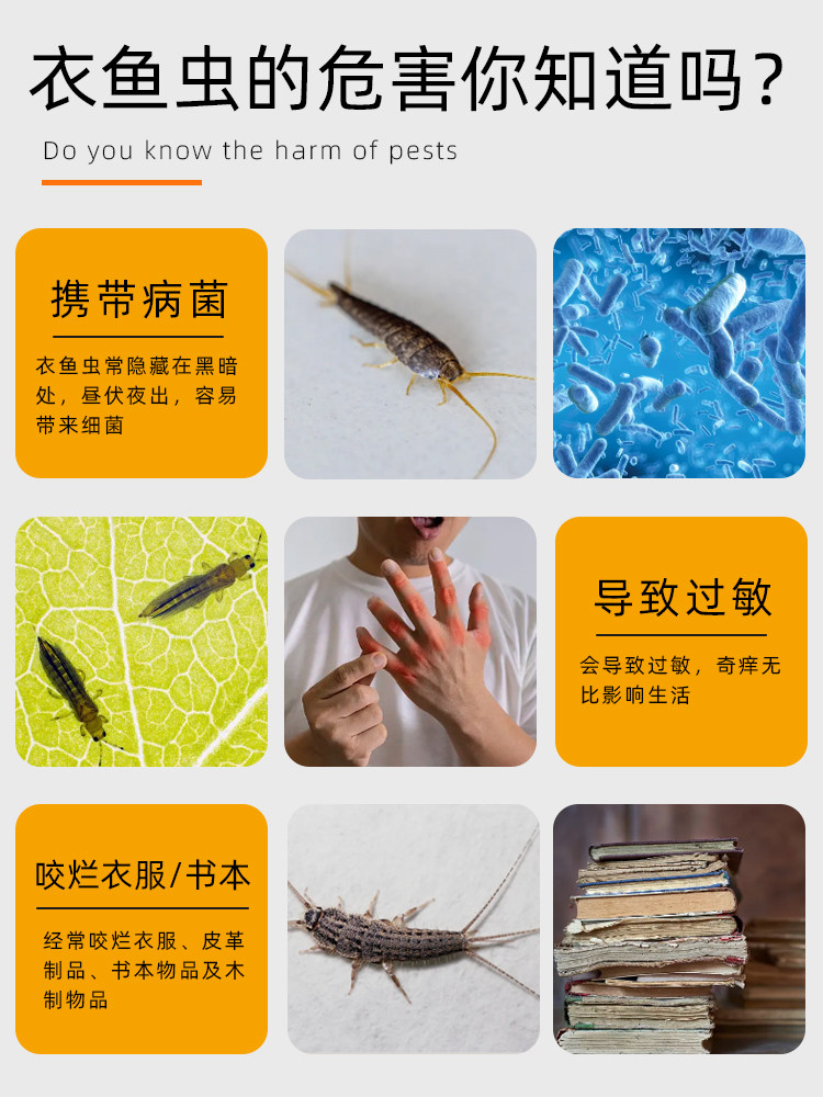 专灭衣鱼虫药除衣蛾衣虫杀虫剂诱皮蠹药粉蛾子净贴家用灭蠹鱼陷阱