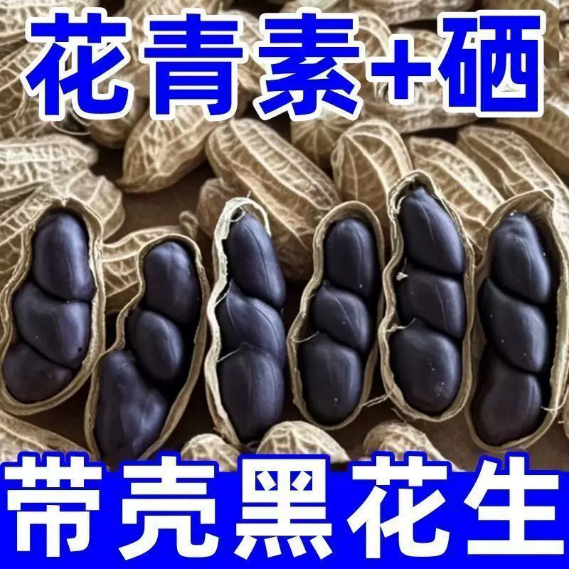 2026黑花生农家自产富硒食疗滋补杂粮黑花生带壳生吃甘甜自然晒干