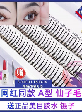 a型仙女毛单簇朵毛自己嫁接自然