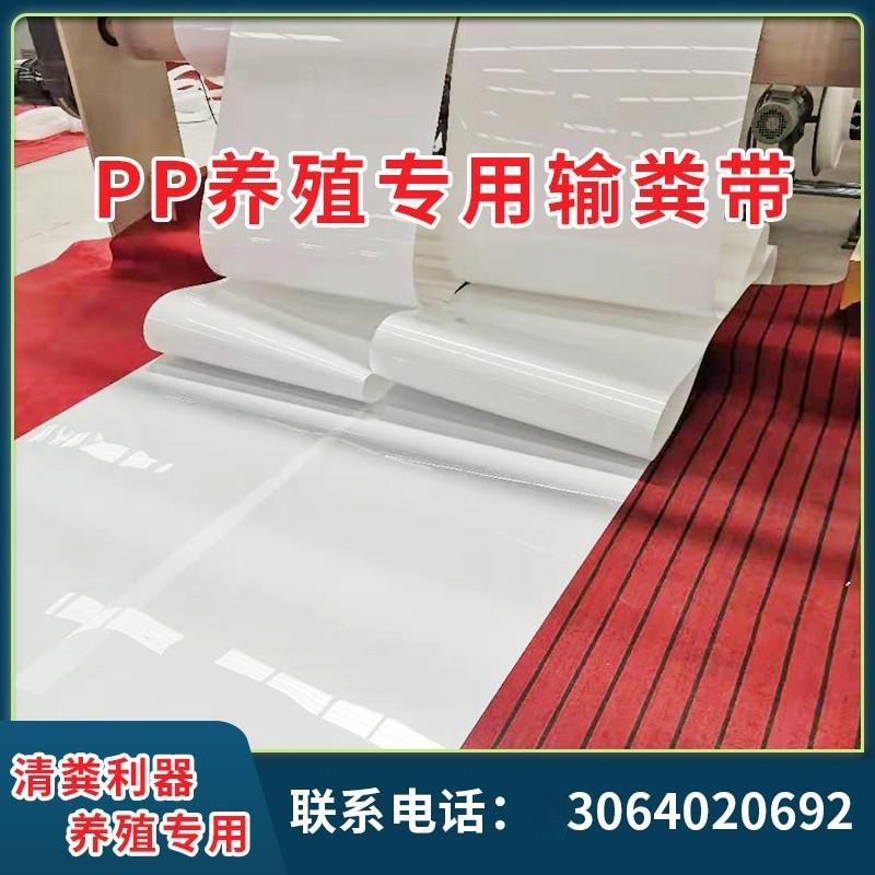 清粪带PP养殖刮粪机家禽防滑耐磨