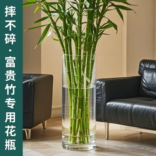 水培富贵竹花瓶专用透明亚克力
