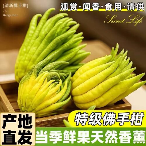云南佛手柑特大鲜果天然香薰