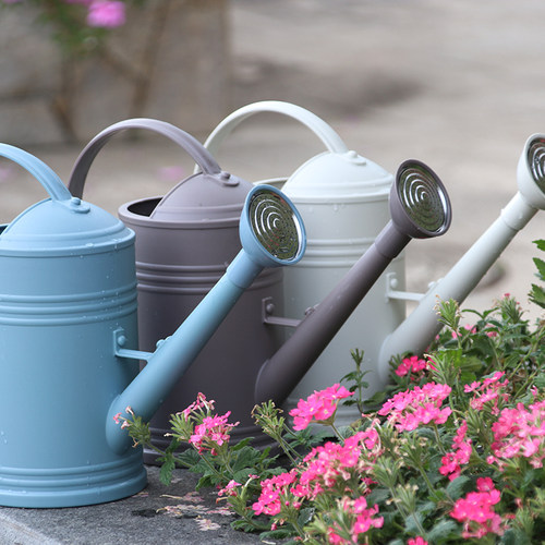 陌町园艺长嘴浇洒两用洒水壶