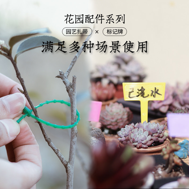 园艺扎线花木固定扣扎丝捆绑植物扎带标签标花卉多肉植物标识卡牌