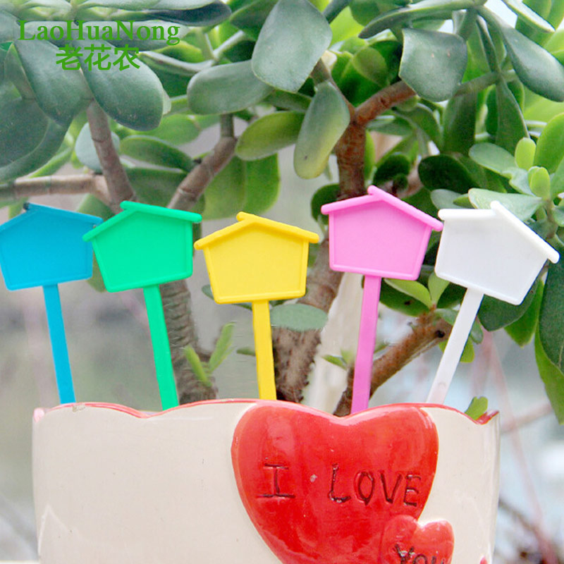 多肉植物标签插牌moting/陌町