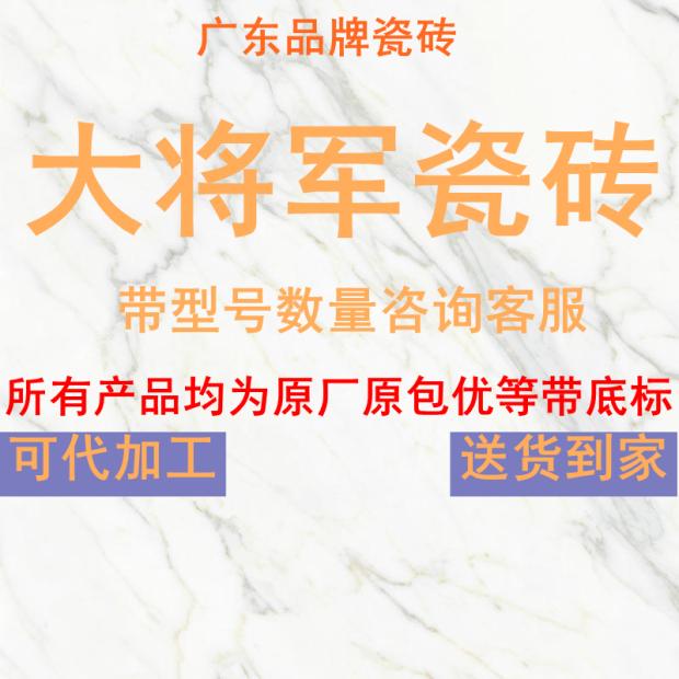 大将军瓷砖佛山陶白色灰6001200