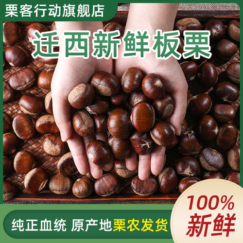 栗客行动板栗&ldquo;生吃脆甜，熟吃香甜软糯！&rdquo;