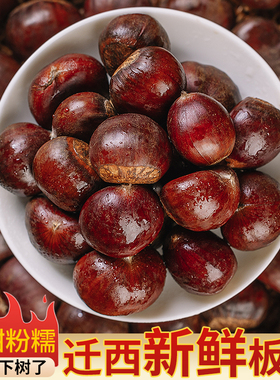2025迁西板栗生新鲜栗子嫩板栗仁带壳现摘青栗子油栗5斤产地直发