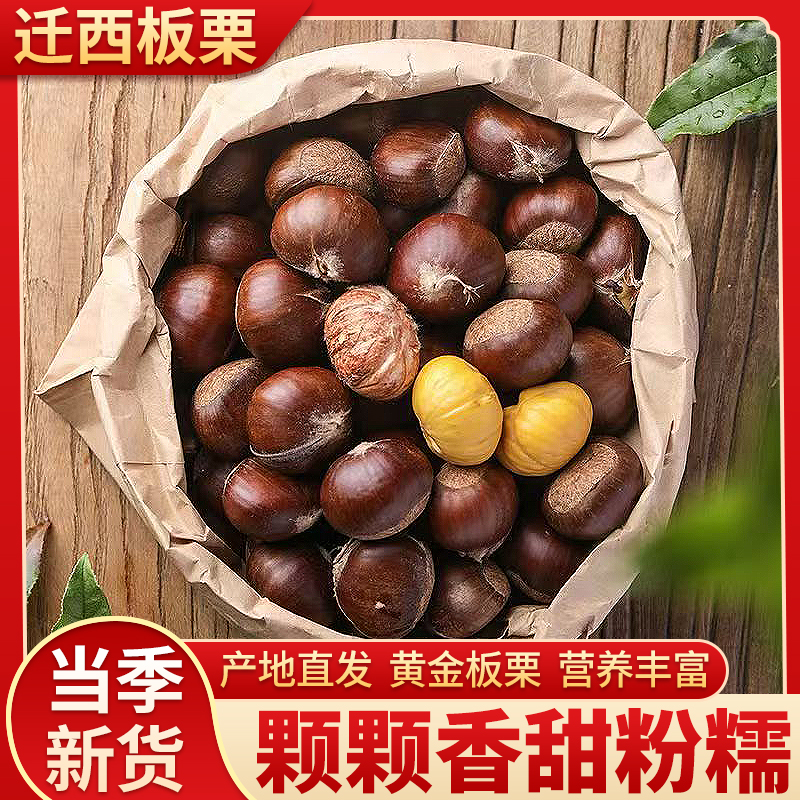 2025迁西板栗生新鲜栗