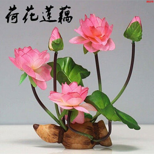 鱼缸造景水草莲花素材模板 鱼缸造景水草莲花图片下载 小麦优选