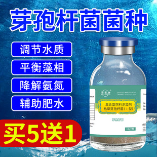 芽孢杆菌原种水产养殖鱼塘调水净水虾蟹池塘降解亚硝酸盐益生菌种