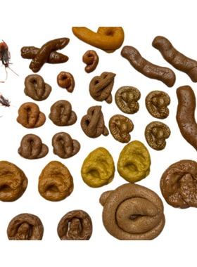 Fake Poop Creative Novelty Funny Toys Trick Gift Funny Game