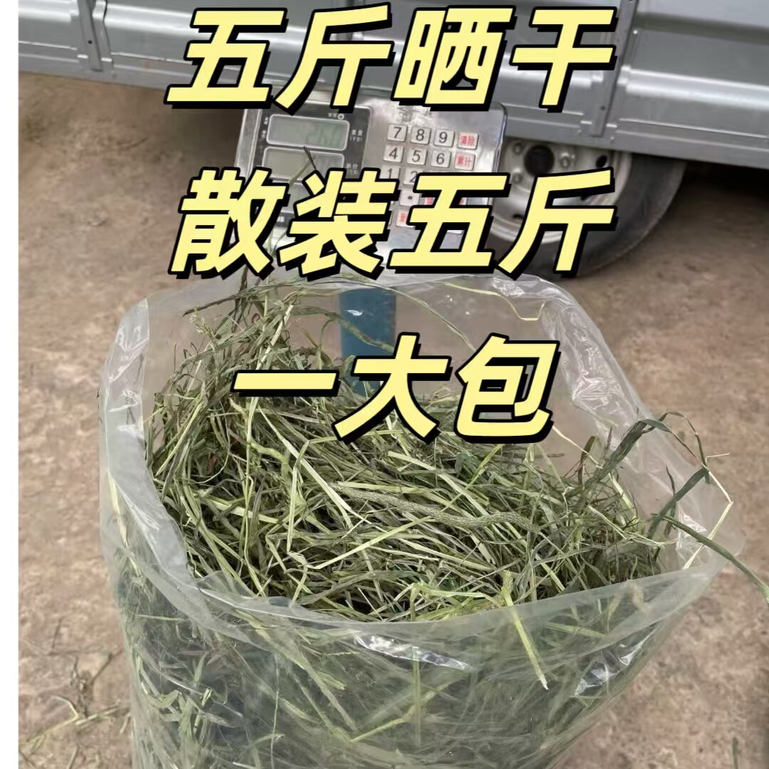 甘肃定西岷县晒干提摩草料2500g