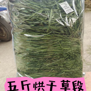 2026精品7ASSS烘干提莫西草兔子龙猫豚鼠荷兰猪兔粮牧草饲料兔兔