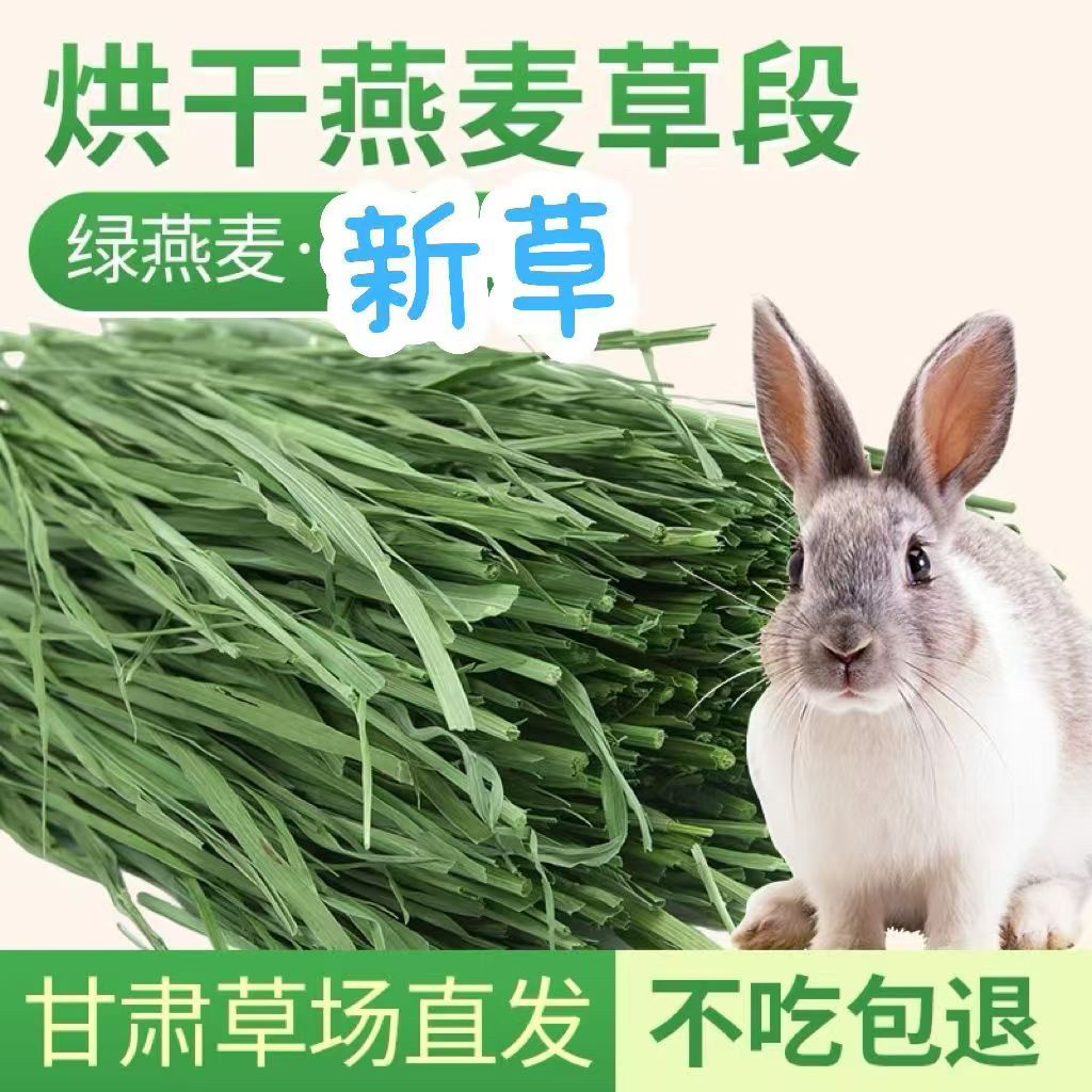 2025头茬特级燕麦干草兔豚适用