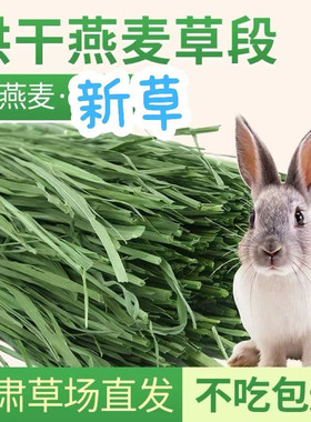 2025头茬特级燕麦干草兔豚适用