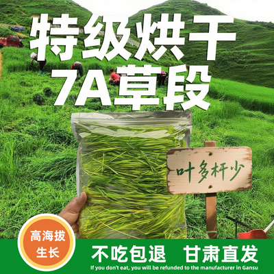 25年7ASSS烘干提摩西草段兔粮龙猫荷兰猪提莫西烘干草兔草提草