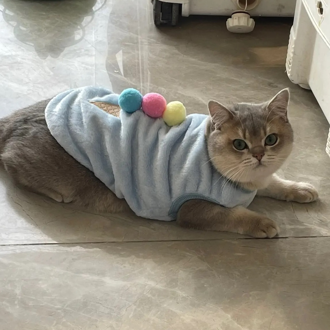 猫咪衣服秋冬季可爱背心宠物马甲加菲蓝猫布偶美短德文蓝白银渐层