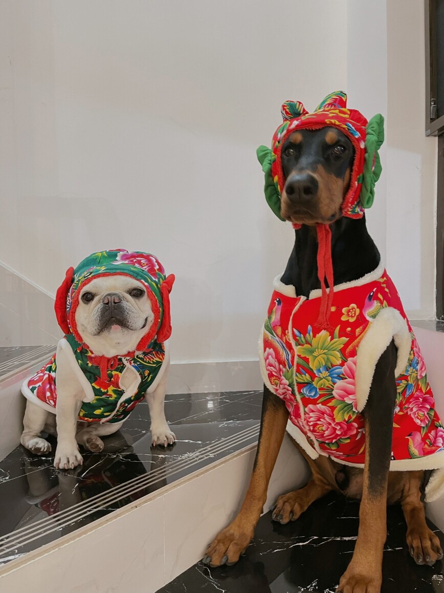 猫咪狗狗纯棉面料东北大花马甲