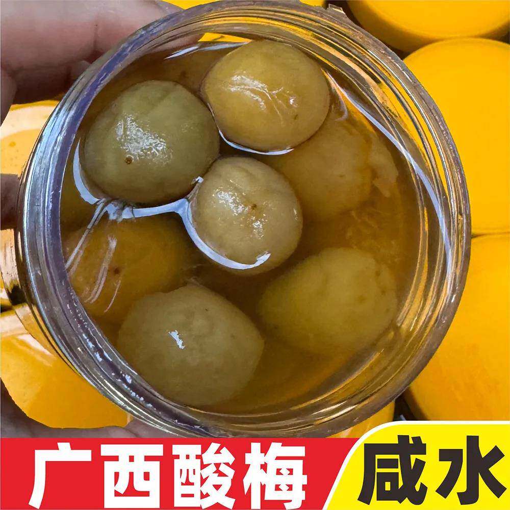 广西酸梅果新鲜咸水酸梅鲜青梅罐头腌盐渍盐渍梅肉青梅子开罐即食