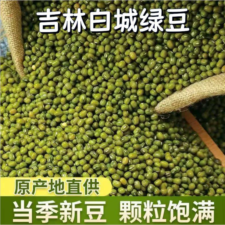 吉林白城绿豆500g东北绿豆真空装新鲜农家绿豆可发芽粮油颗粒饱满