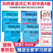 进口English 英语教材english Vocabulary 原版 Use剑桥英语词汇学习工具书剑桥初级英语语法初中高级4本英文英式 grammar use
