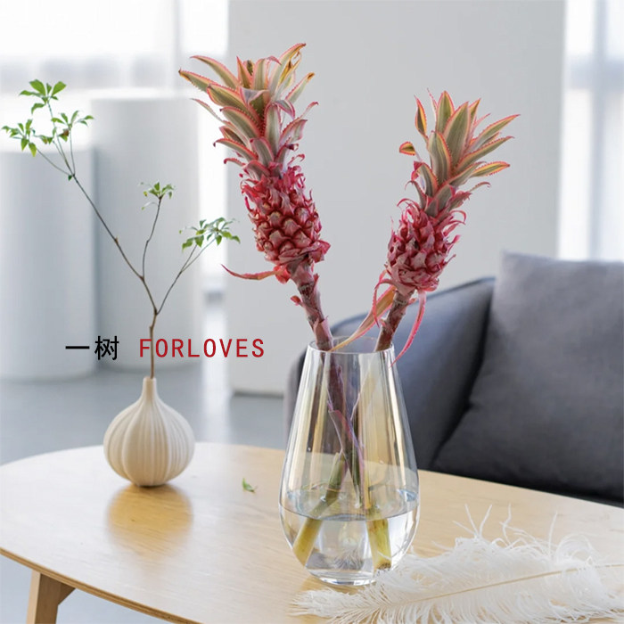 一树|黑凤梨小菠萝花鲜切枝进口鲜切花粉色原色花云南直发2扎顺丰