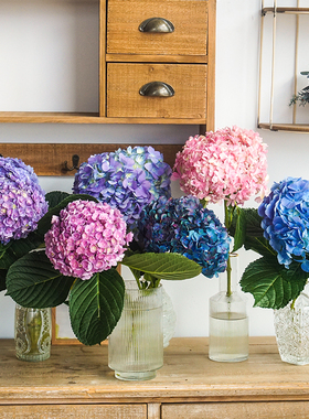 一树|绣球花鲜切花 云南基地直发 重瓣 进口稀有 任意2扎顺丰空运