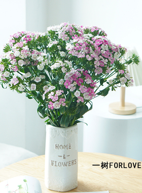 一树|相思梅鲜花云南基地直发期长水养插花鲜花速递顺丰空运包邮