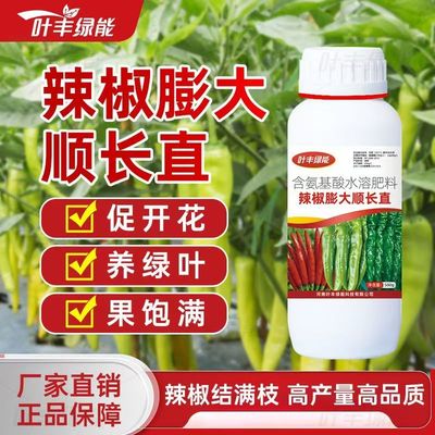 【正品】叶丰绿能辣椒膨大顺长直