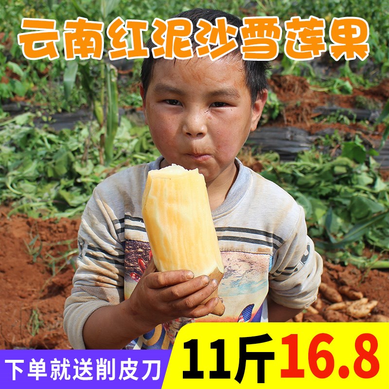 网友分享在meiguo.com的图片