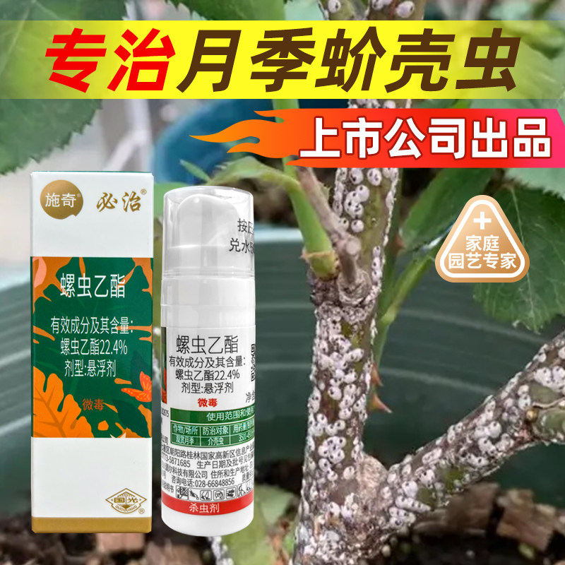 国光月季蚧壳虫专用药蔷薇多介壳虫肉杀虫剂花卉蚧必治植物农药