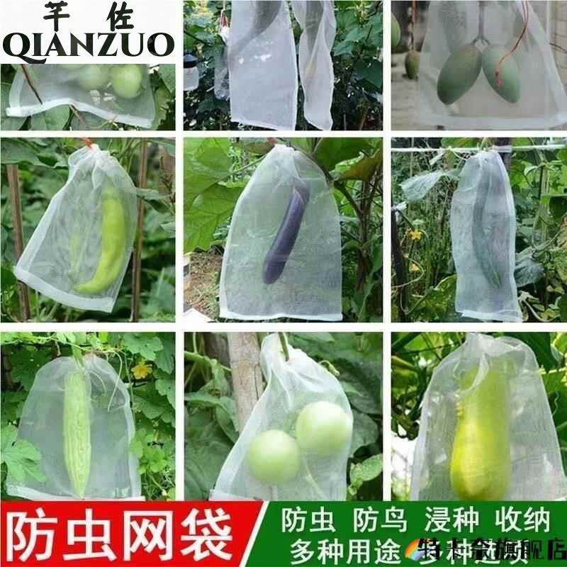 防虫袋瓜果防果蝇防鸟袋滤网浸种袋葡萄果树水果套袋防虫尼龙网袋