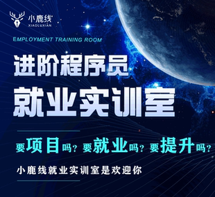 就業(yè)實(shí)訓(xùn)室web前端2025崗前培訓(xùn)面試技巧技術(shù)答疑就業(yè)服務(wù)課程