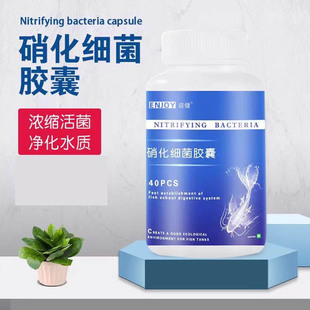 硝化细菌鱼缸用水族箱硝化菌胶囊消化干粉龙鱼专用活菌锦鲤净水剂