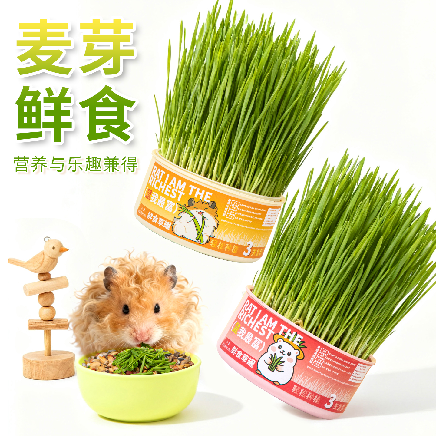 承希仓鼠草苗仓鼠零食