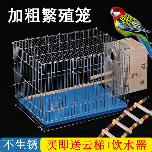 八哥金属大小号超大大型玄凤鹦鹉