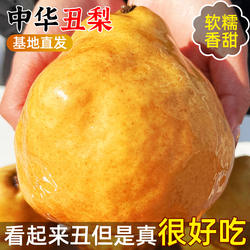 中华丑梨山东烟台莱阳软糯香甜啤梨子孕妇水果新鲜当季整箱4.5斤