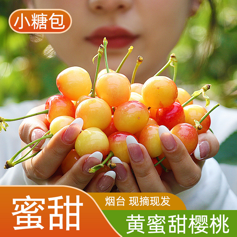 纯甜黄蜜大樱桃当天发黄金车厘子