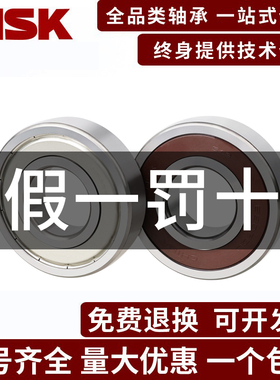 进口日本NSK 6403 6404 6405 6406 6407 6408 6409 6410ZZ RS轴承