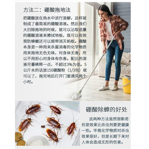 Борорная кислота порошок для таракана -медицины картофельный пюре из кухни домашнее гнездовое ингибирующее раствор влажную кожу и внешнее использование боры бора