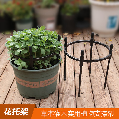 铁艺花架支撑杆花托支架矮植专用花架小型植物托架辅助爬藤架8mm