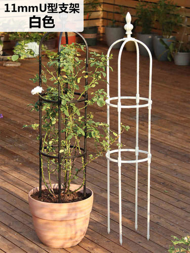 园艺简易绿植月季攀爬组合花架