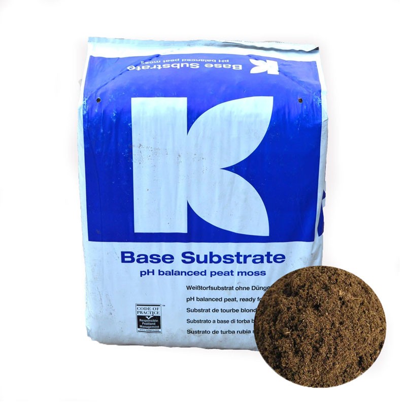 大汉育苗泥炭土月季绿植