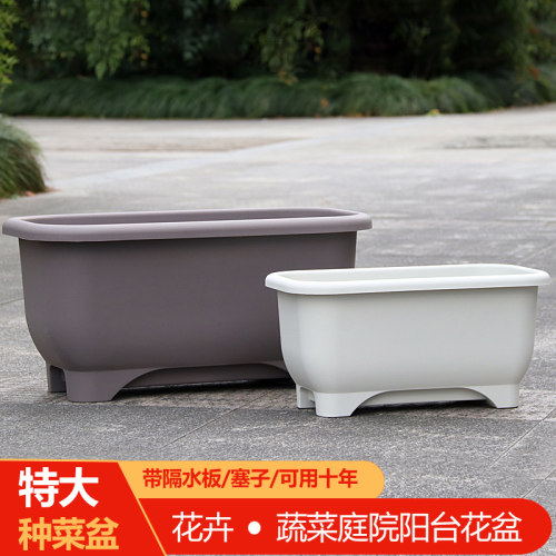 简约长方形花盆塑料种菜神器