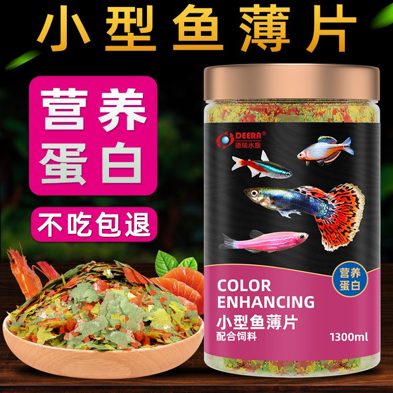 小型鱼薄片鱼饲料灯科鱼孔雀鱼